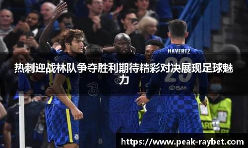 热刺迎战林队争夺胜利期待精彩对决展现足球魅力